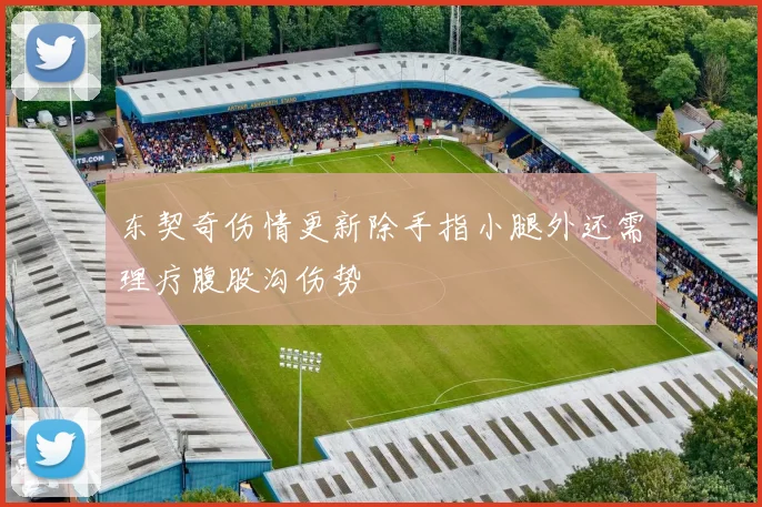 东契奇伤情更新除手指小腿外还需理疗腹股沟伤势