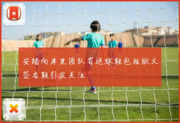 安踏向库里团队寄送球鞋包括欧文签名鞋引发关注
