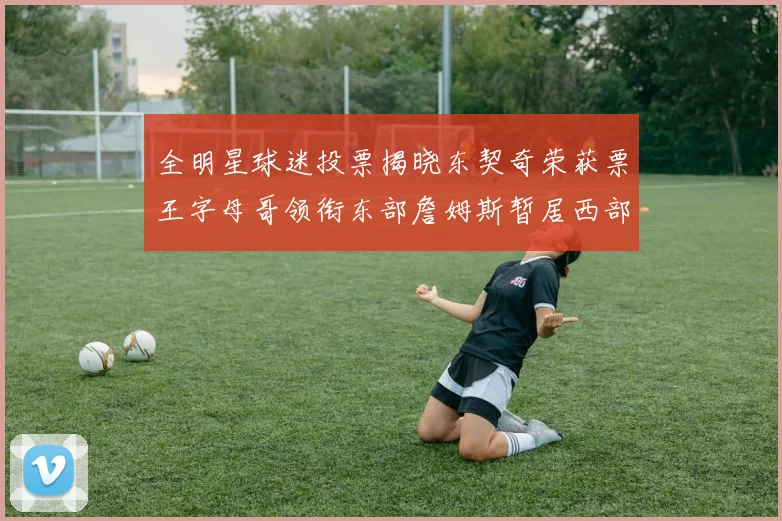 全明星球迷投票揭晓东契奇荣获票王字母哥领衔东部詹姆斯暂居西部第九